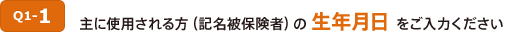 Q1-1 主に使用される方（記名被保険者）の生年月日をご入力ください