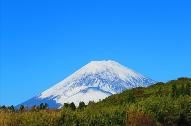 drivespot-hakone-105.png