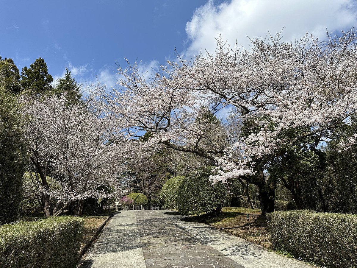 drivespot-hakone-42.jpg