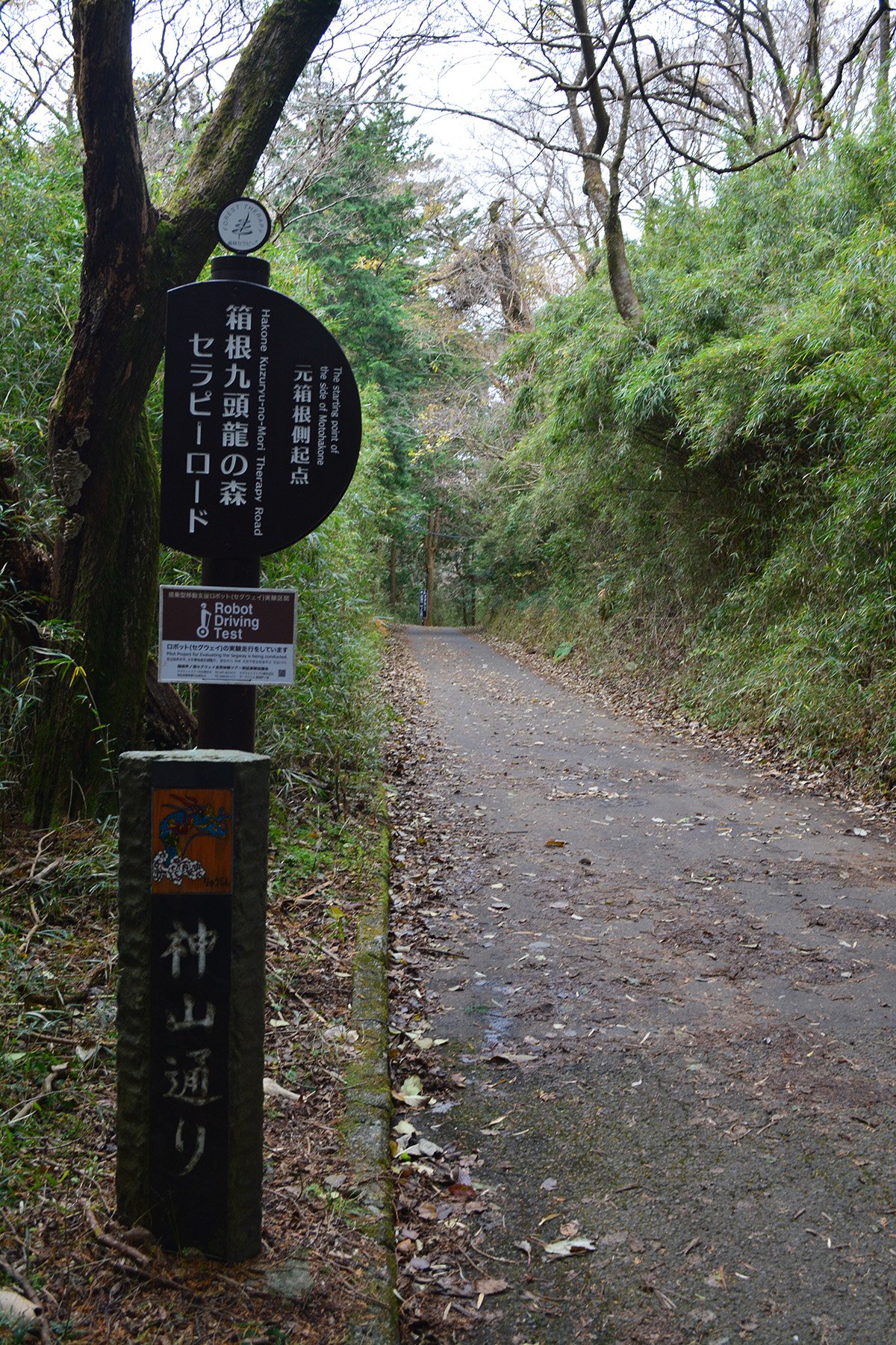 drivespot-hakone-55.jpg