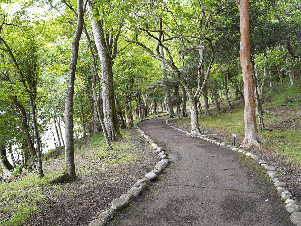 drivespot-hakone-56.jpg