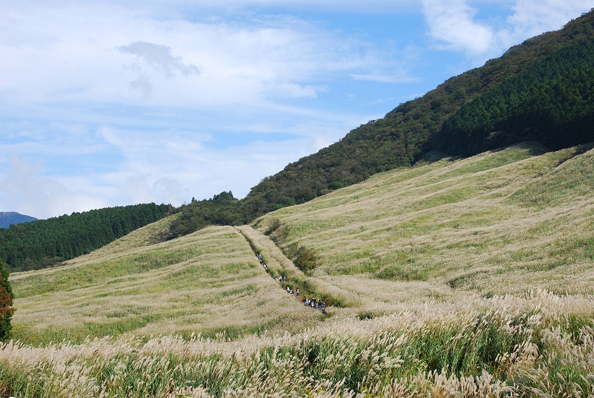 drivespot-hakone-86.jpg