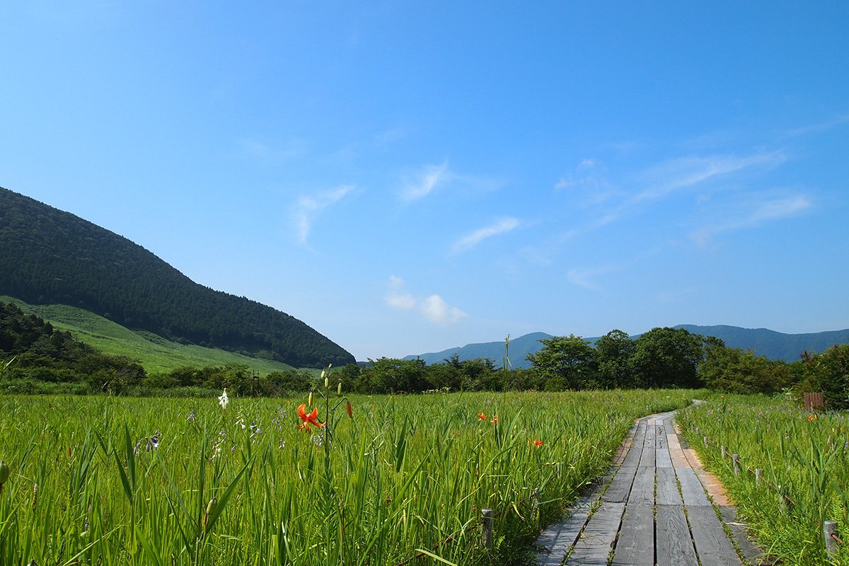 drivespot-hakone-89.jpg