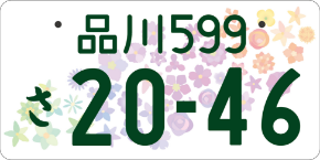 light-car-white-number-plate-01.png