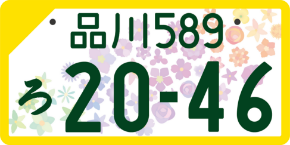light-car-white-number-plate-02.png