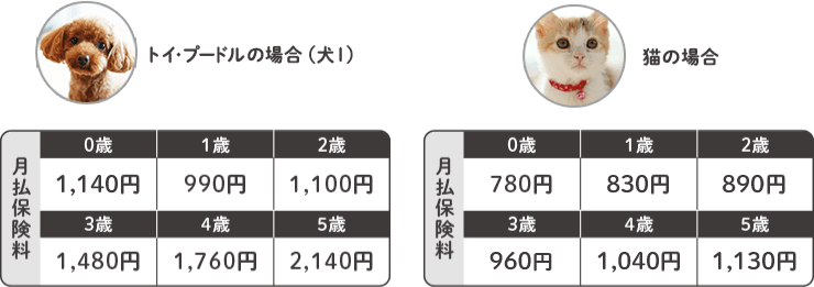 例