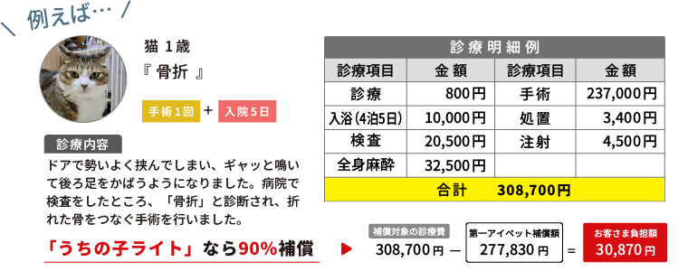 例