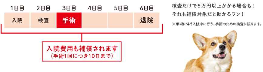 入院費用も補償されます（手術1回につき10日まで）