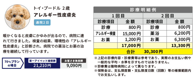 例