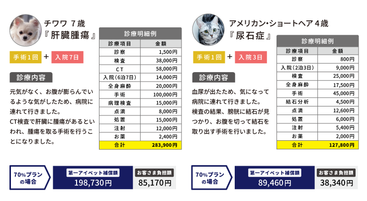例